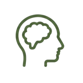 Memory & Orientation